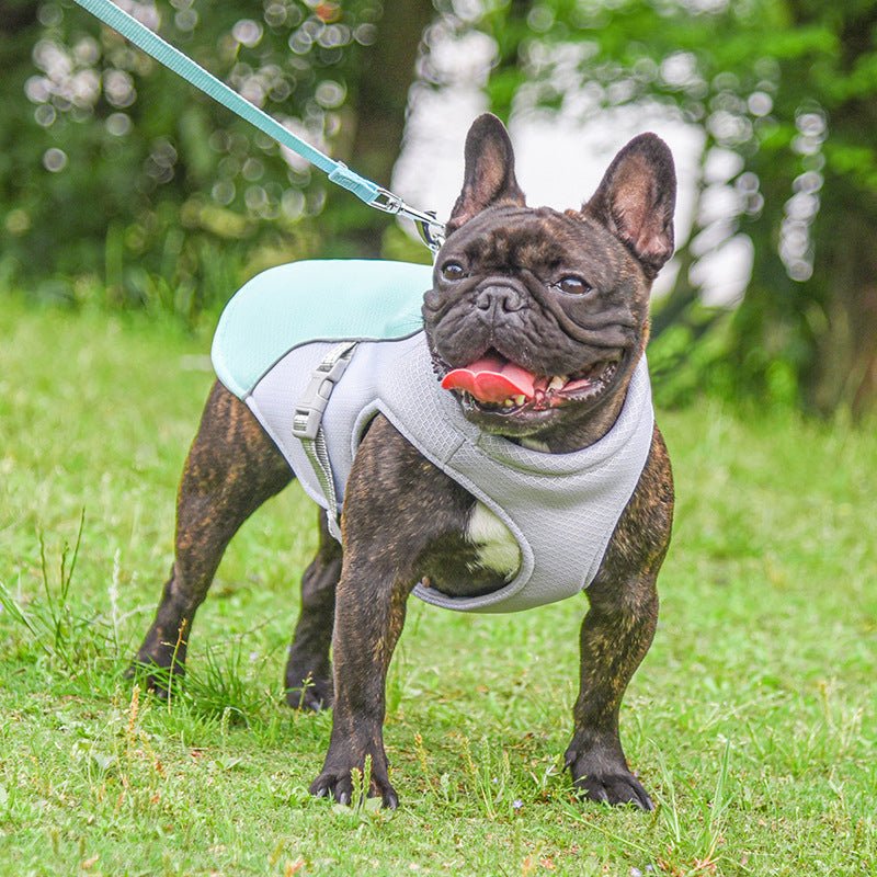 Summer Pet Outdoor Breathable Cooling Vest - Majestic Meadow